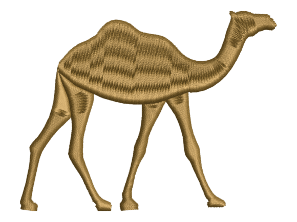 Desert Camel Design
