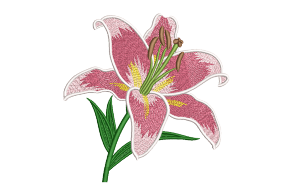 Pink Lily Bloom – Elegant Floral